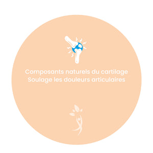 Arti4 | La réponse naturelle 🌱 aux tensions articulaires 🦵 | Glucosamine 1000mg, MSM, Chondroïtine, Cuivre | Fabriqué en France 🇫🇷