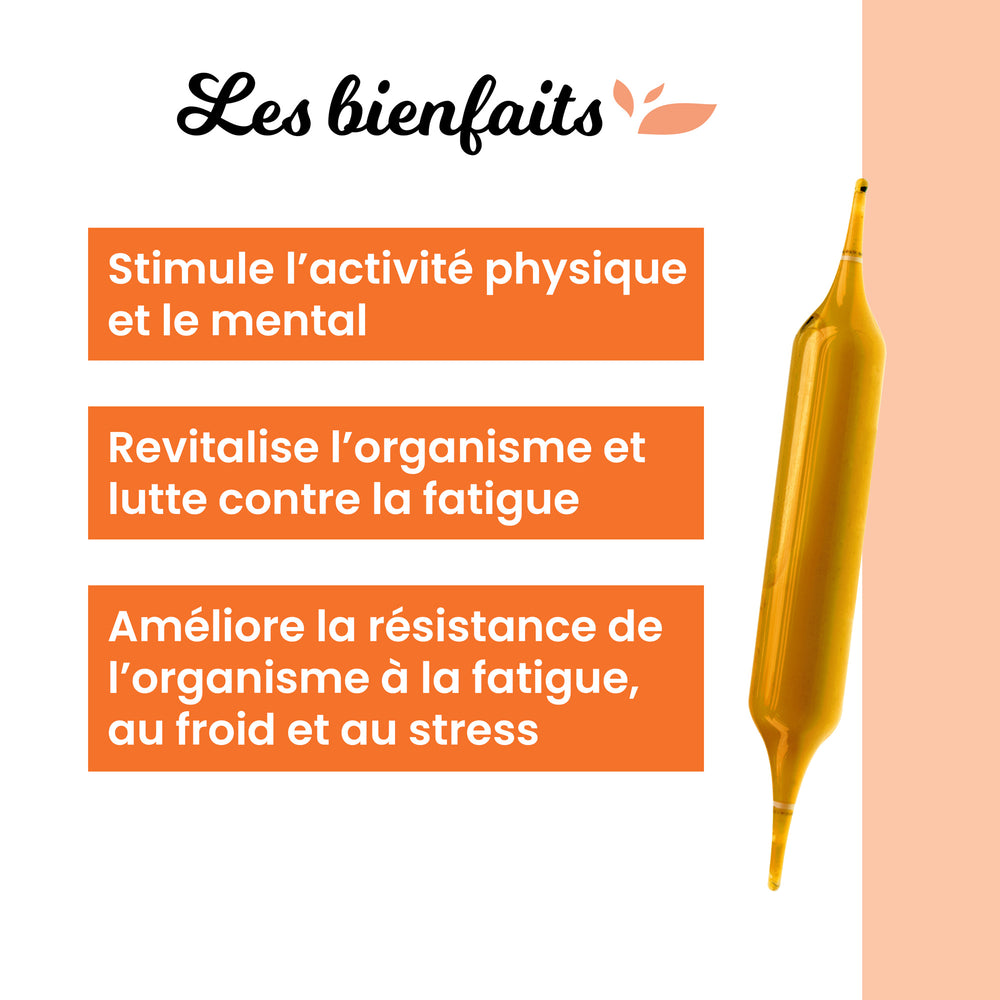 Complexe Turbo | Stimule l’activité physique et le mental | Revitalise l’organisme et lutte contre la fatigue | Améliore la résistance de l’organisme à la fatigue, au froid et au stress