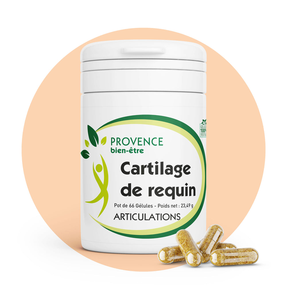 Cartilage de Requin | Renfort des os et articulations